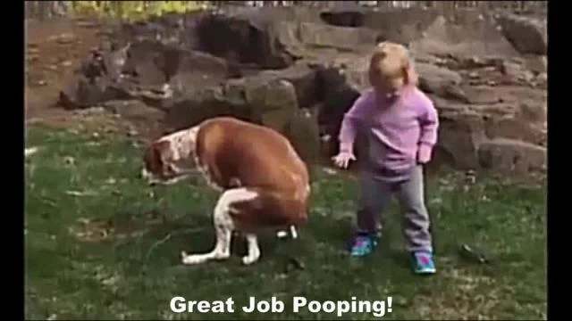 Good Job Pooping