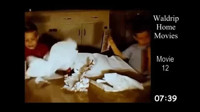 WaldripHomeMovies 8mm, 12