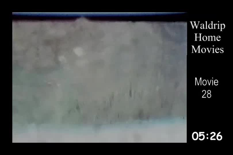 WaldripHomeMovies 8mm, 28
