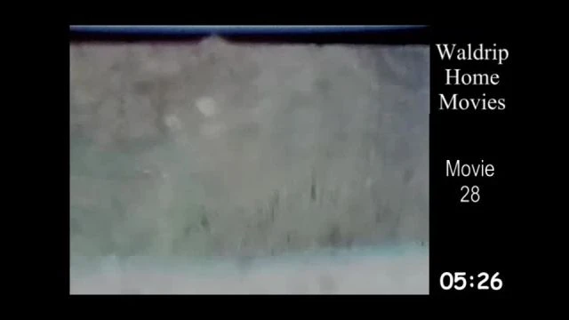 WaldripHomeMovies 8mm, 28