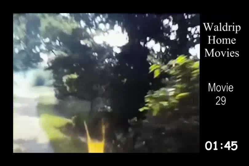 WaldripHomeMovies 8mm, 29