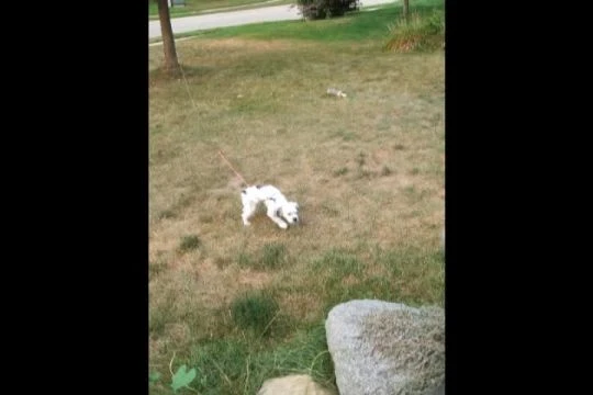 May 27 - Oct 23, 2007 photos