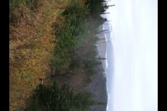 Oct 23 - Dec 20, 2007 photos