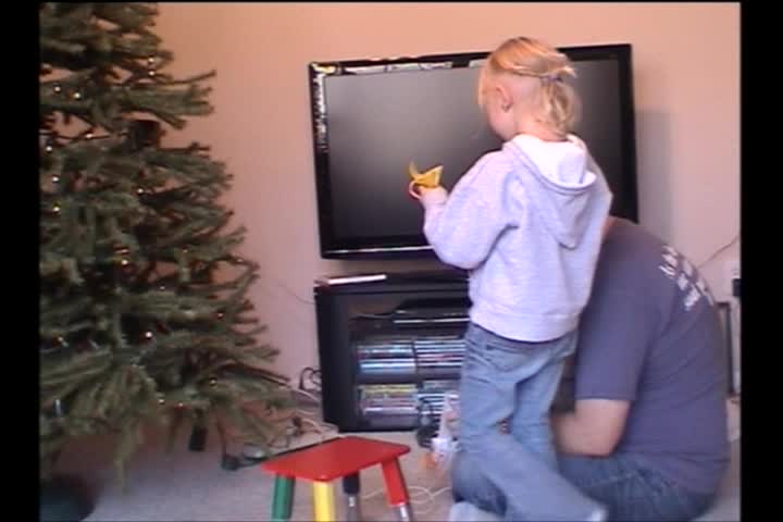 Nov 24 - Dec 29, 2008