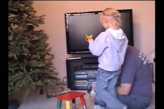 Nov 24 - Dec 29, 2008