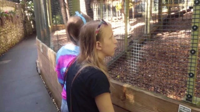 RHV 01 2019,July07 - Parrot Mountain