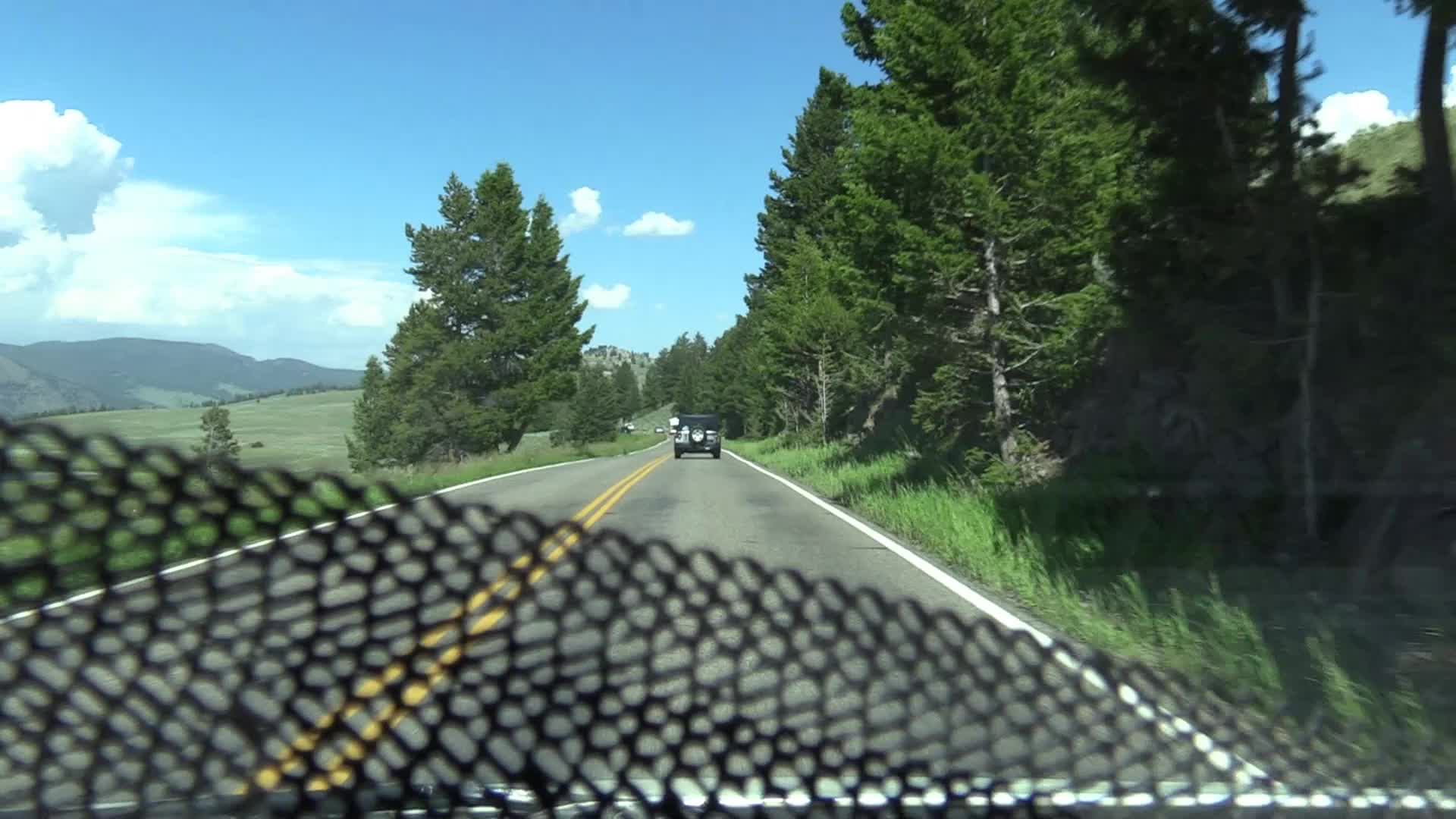 13 Yellowstone pt2 - 2023