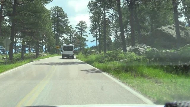 16 Custer State Park - 2023