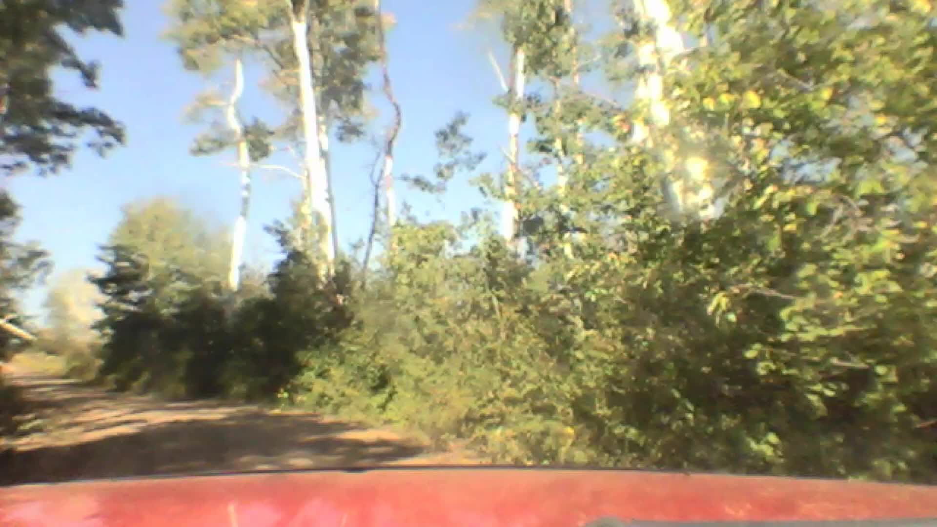 2021-TopOfTheMountainToCamp