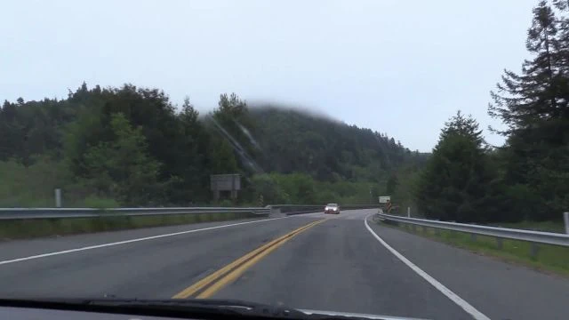 08 Redwoods To Yosemite - 2022