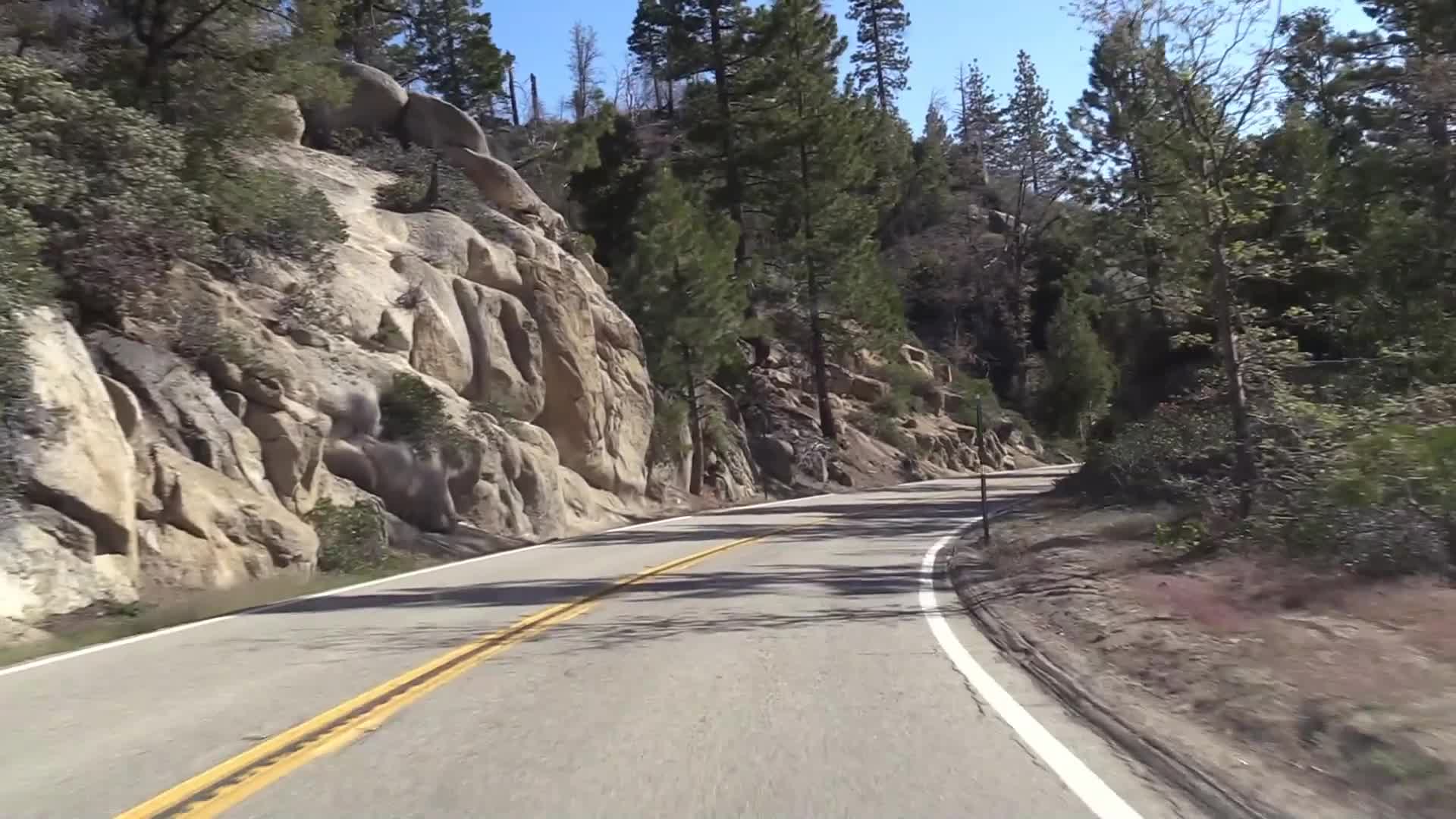 11 Kings Canyon - 2022