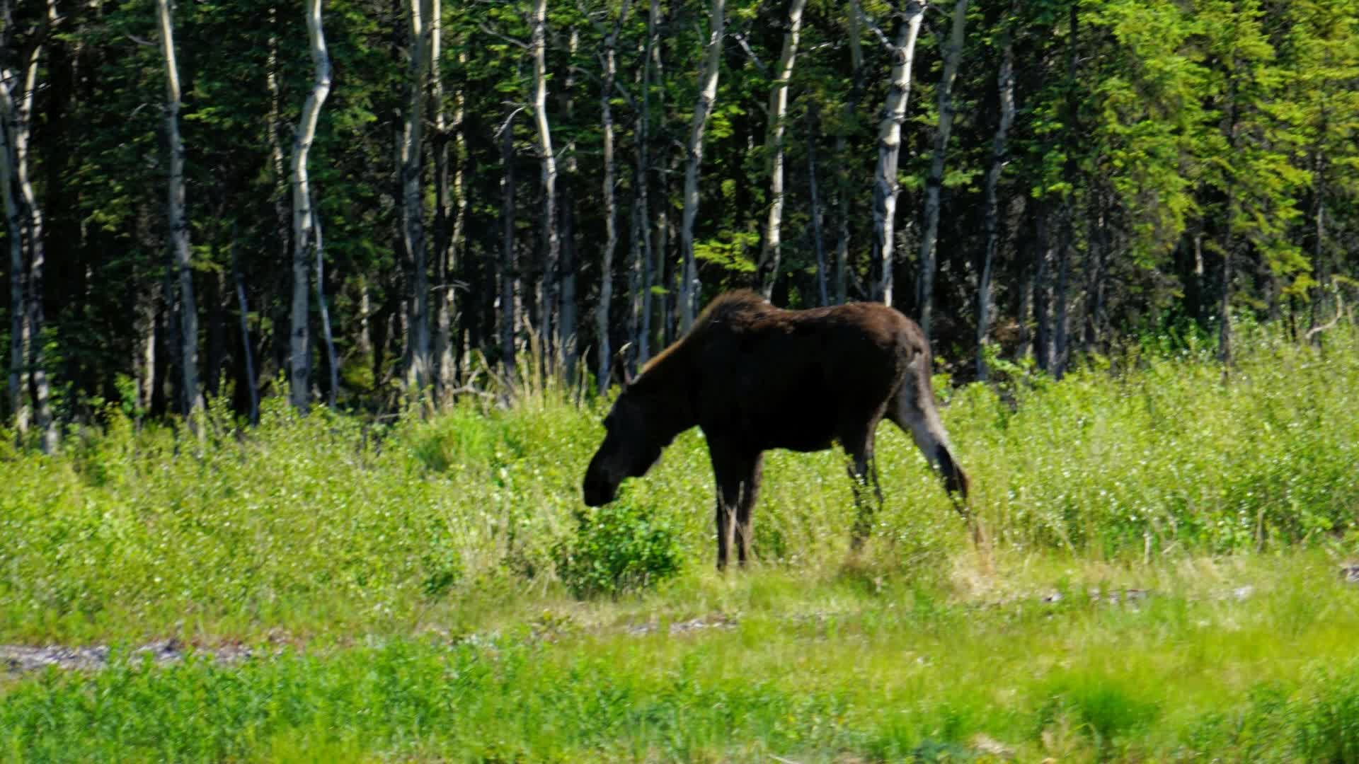 Vacation 2024 Placeholder