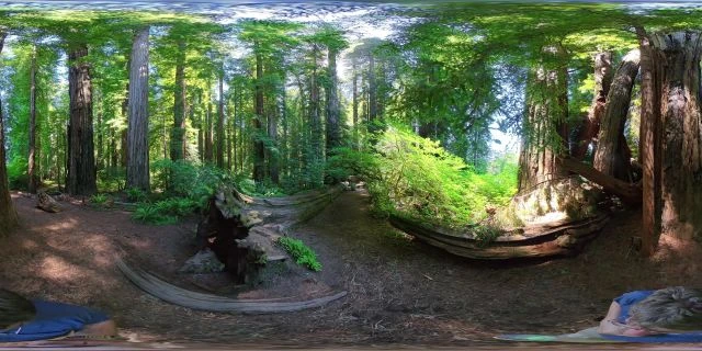 Insta360_X5_2026,June16_C_360