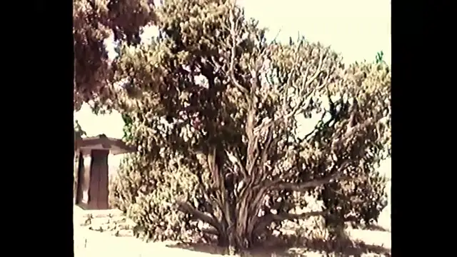 1989a-pt3