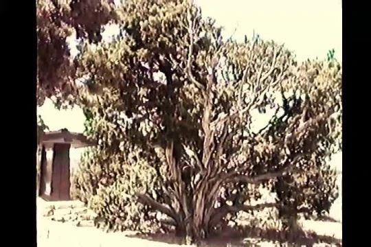 1989a-pt3