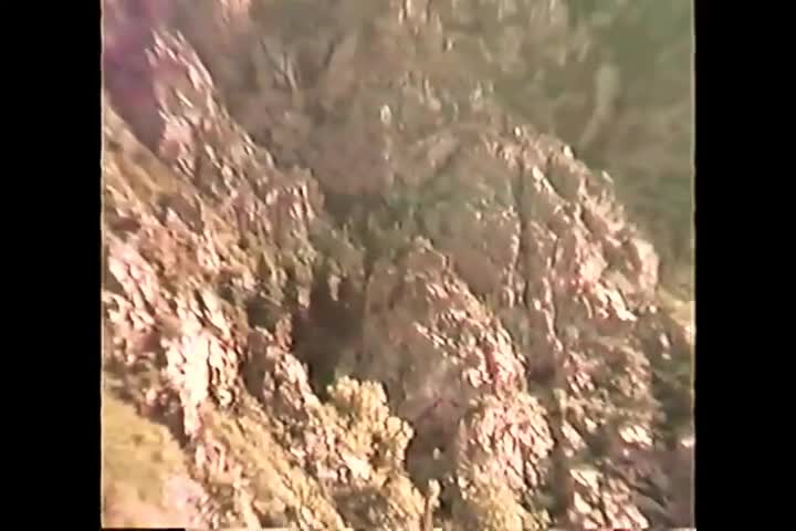 1989c-pt1