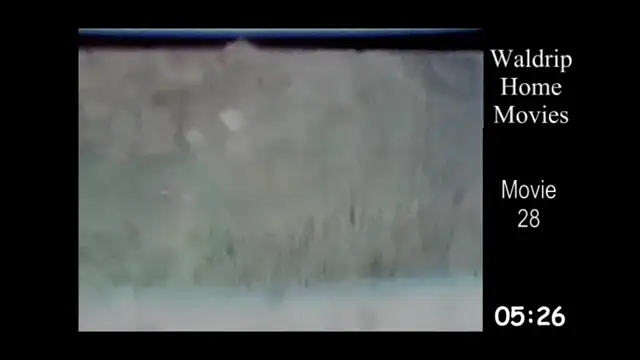 Waldrip Home Movies, 8mm - 28