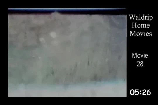 Waldrip Home Movies, 8mm - 28