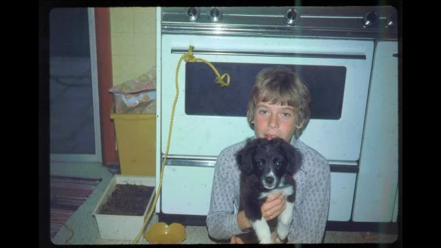 Mitchell Slides - 11