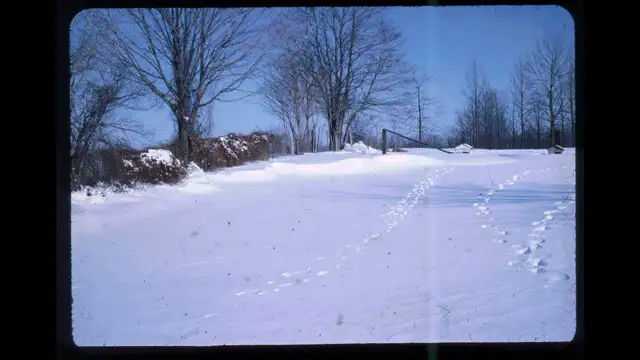 Mitchell Slides - 15