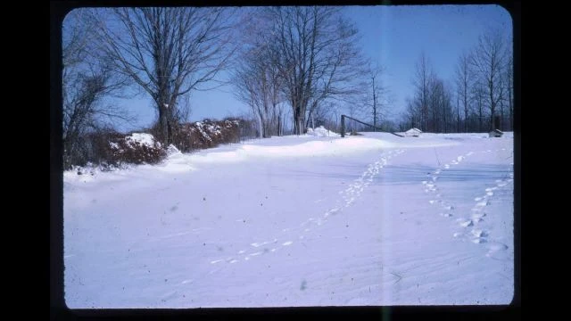 Mitchell Slides - 15
