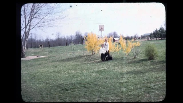 Mitchell Slides - 22