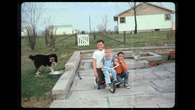 Mitchell Slides - 40