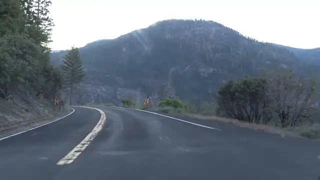 Yosemite NP- 2022 - 10