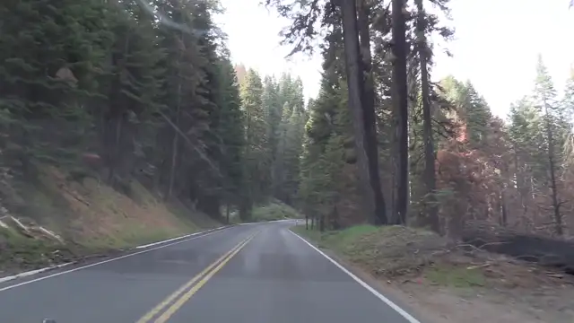 Sequoia NP -2022 - 12