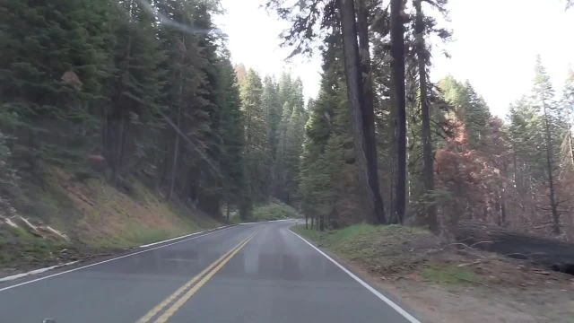Sequoia NP -2022 - 12