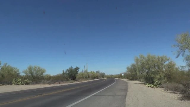 21-saguaro---2022
