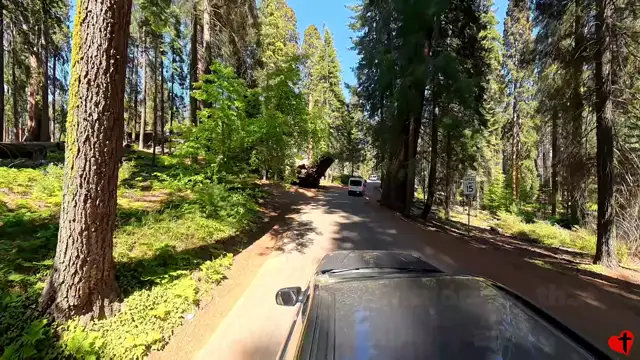 Sequoia NP, p2 - Crescent Meadows