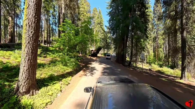 Sequoia NP, p2 - Crescent Meadows