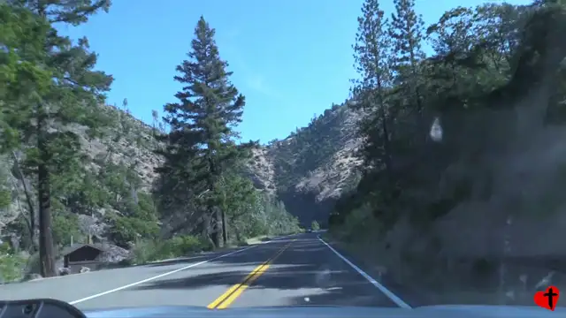Continuing on to the Redwoods