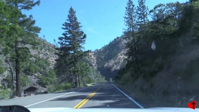 Continuing on to the Redwoods