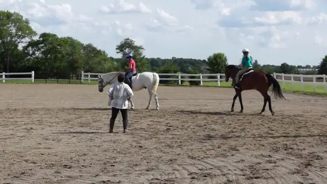 2016, June 2 - LeeAnne Horse Training