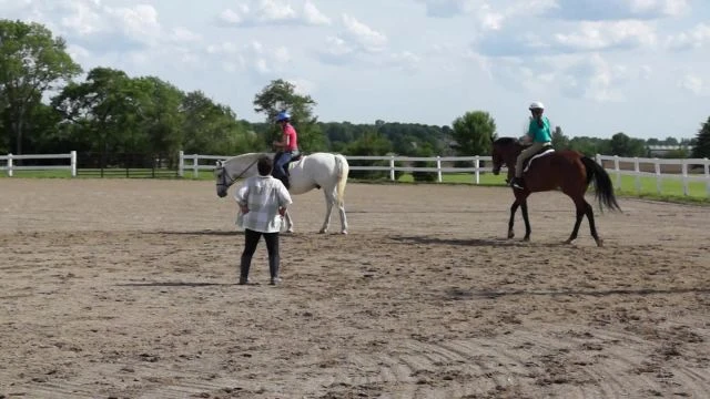 2016, June 2 - LeeAnne Horse Training