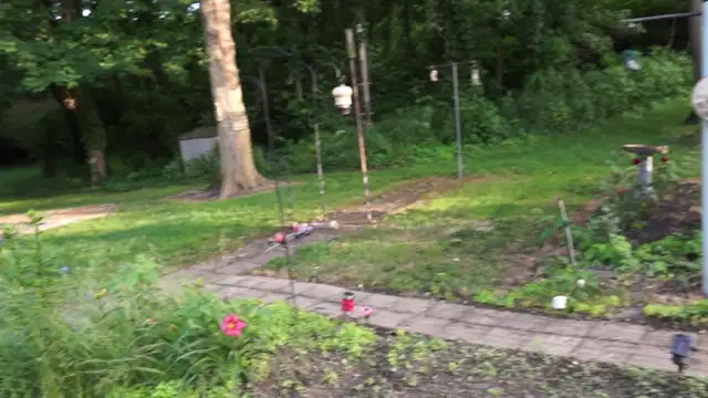 2016, June 6 - Around Roger's House