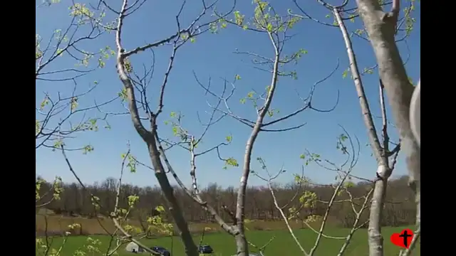 Drone Flying At Kentucky Tradfest