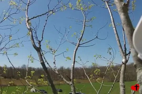 Drone Flying At Kentucky Tradfest
