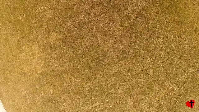 Drone Flying at home