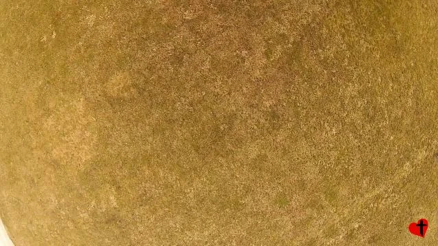 Drone Flying at home