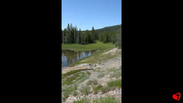 Yellowstone NP, pt3