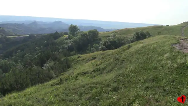 Roosevelt NP