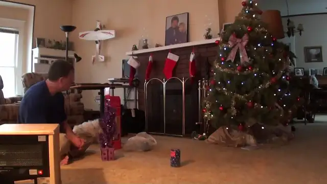 Decorating LeeAnnes Tree