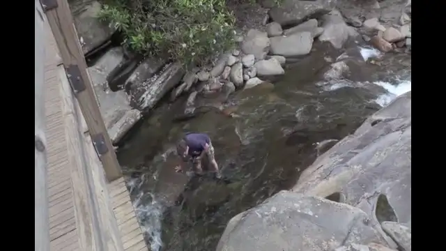 In the Stream - July 9, 2019