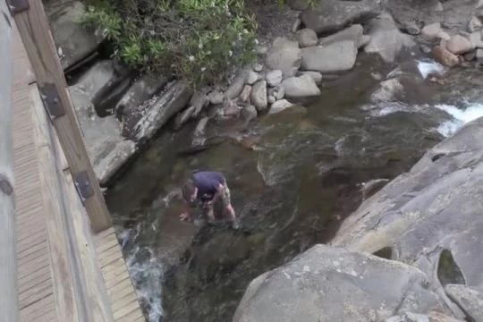 In the Stream - July 9, 2019
