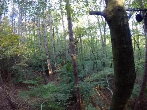 Darren's GoPro