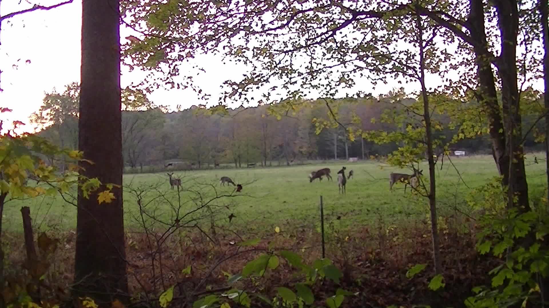 Hunter's Creek, S-Turn - Oct 19, 2017