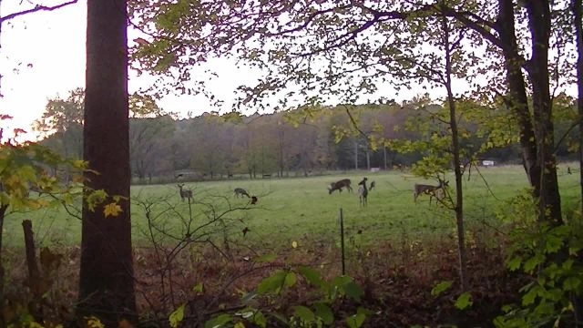 Hunter's Creek, S-Turn - Oct 19, 2017